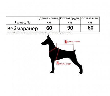 Одежда для Веймаранера. Комбинезон утепленный по спинке 60см