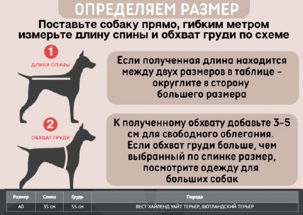 Теплый комбинезон для Вест-Хайленд-Уайт-Терьера и собак аналогичного телосложения. Девочка