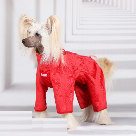 Одежда для собак ForMyDogs. Комбинезон для девочек "Велюр"