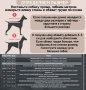 Одежда для собак ForMyDogs. Комбинезон для девочек "Велюр"