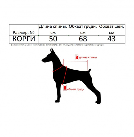 Одежда для ВЕЛЬШ-КОРГИ. Комбинезон-Дождевик по спинке 50см