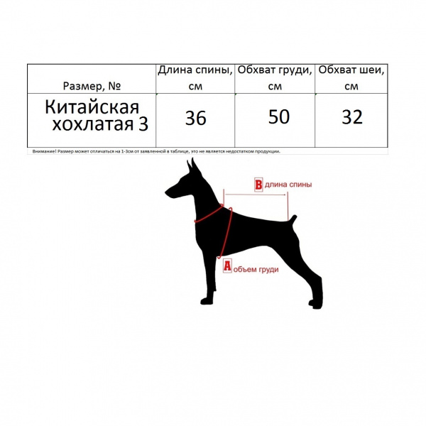 Жилет на меху для китайской хохлатой №3