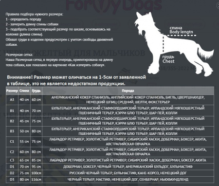 Одежда для собак FORMYDOGS. Пыльник для мальчика из гладкого перфорированного полиэстера высокого качества
