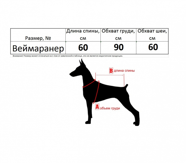 Одежда для Веймаранера №1. Комбинезон-Дождевик по спинке 60см