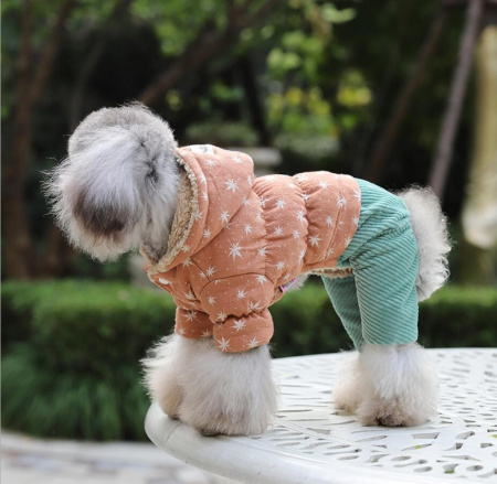 Костюм для собак "ChicDog"