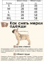 Костюм спортивный для собак синий