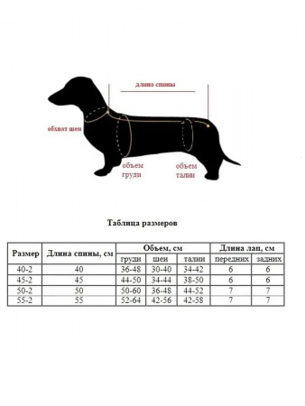 Комбинезон-дождевик для таксы, корги. Девочка. Красный